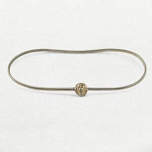 Lion Head Chain Belt in Gold